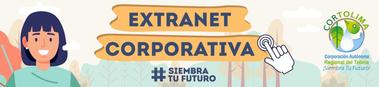 Software Corporativo
